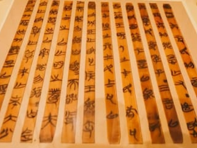 Revealing the Truth of History - Documentary Culture